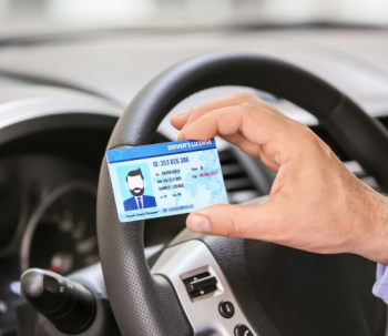 International License Verification